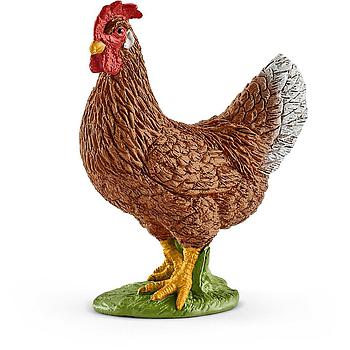 gallina