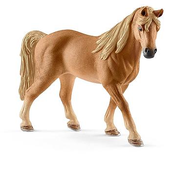 Giumenta tennessee walker