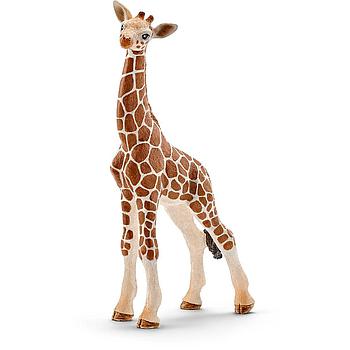 cucciolo di giraffa