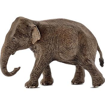 femmina di elefante asiatico