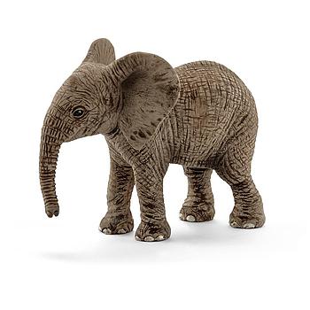 cucciolo di elefante africano