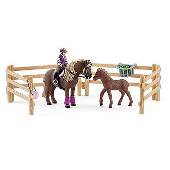 Cavallerizza con pony islandesi