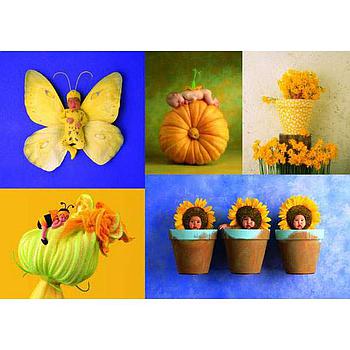 anne geddes 6000 pezzi