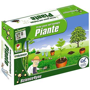 Piante