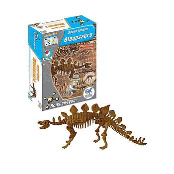stegosauro scavo fossile
