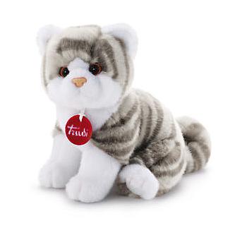 gattino brad tigrato grigio