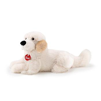 cane golden retriever Astor M