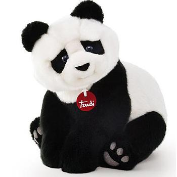 Panda Kevin M
