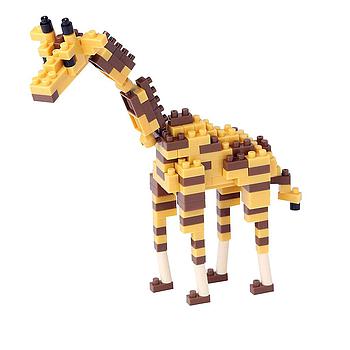 Giraffa