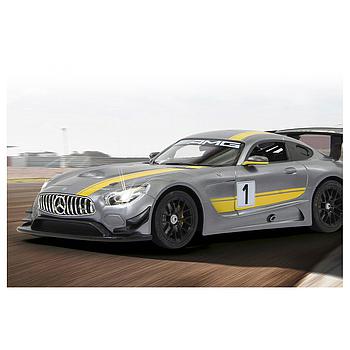 Mercedes AMG GT3 Performance 1/14