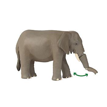 Elefante con proboscide snodata