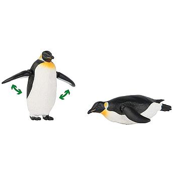 coppia di pinguini