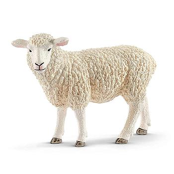 Pecora