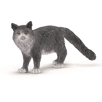 Gatto Maine-Coon