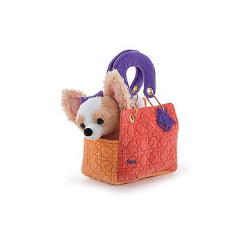 Chihuahua con borsa arancione