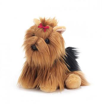 Yorkie Yorkshire terrier