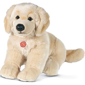 Golden retriever 30cm