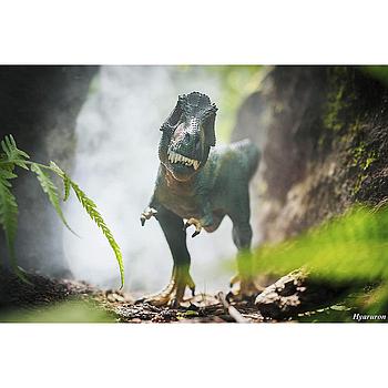 Tyrannosaurus rex 