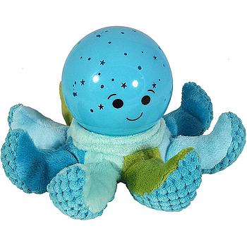 Polipo proietta stelle azzurro
