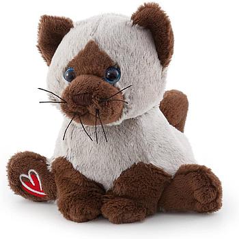 Gatto siamese Bussi