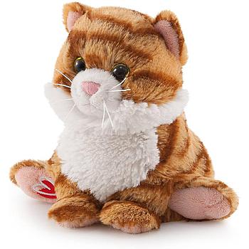 Gatto tigrato bussi