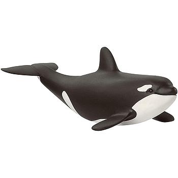 Cucciolo di orca Wild Life