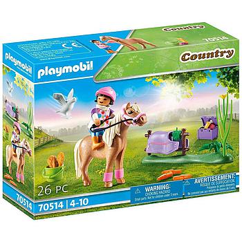 pony Icelandic