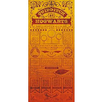 Poster regole del Quidditch