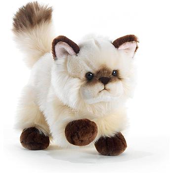 Thaytoo gatto 21 cm