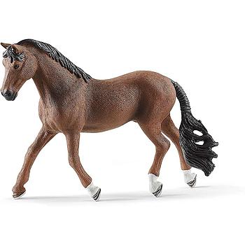 Cavallo Trakehner