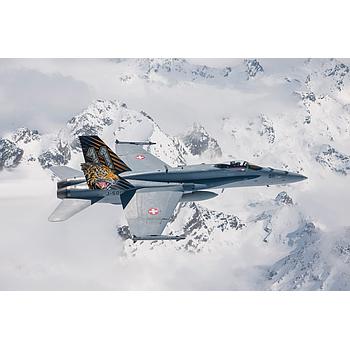 F/A-18 Hornet Tiger Meet 2016  1:72