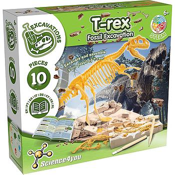 T-rex fossile da scavare