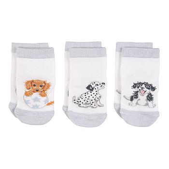 Set di calzini per bebè Little Paws 6-12 mesi