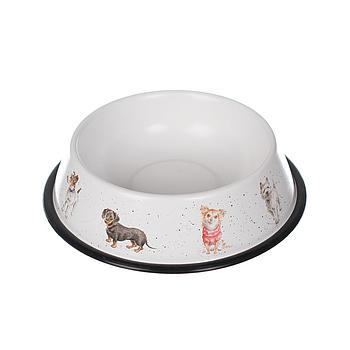 Ciotola per cani