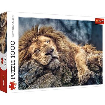 Puzzle Leone 1000pz