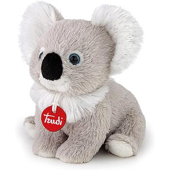 Koala Puppy