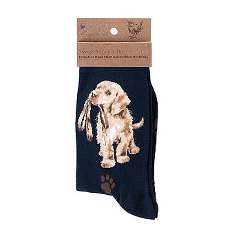calzini Cane Hopeful