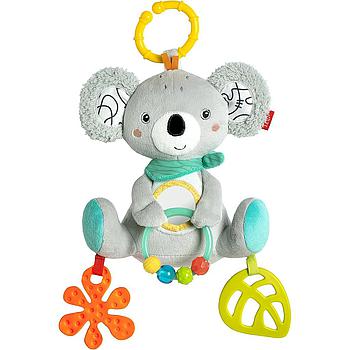 Koala attività