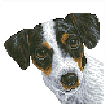 Diamond Dotz cane