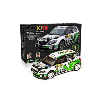 skoda fabia s2000 1/24